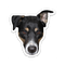 IndieWeb Avatar for https://v1.indieweb-avatar.11ty.dev/https%3A%2F%2Ffrancisbeaudet.com%2Fen%2Fblog%2Fmaking-a-multilingual-website-with-eleventy%2F/