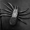 IndieWeb Avatar for https://v1.indieweb-avatar.11ty.dev/https%3A%2F%2Fguirdo.xyz%2Fes%2F/