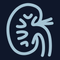 IndieWeb Avatar for kidney.wiki/