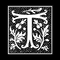 IndieWeb Avatar for https://v1.indieweb-avatar.11ty.dev/https%3A%2F%2Fmicah.torcellini.org%2F2023%2F09%2F23%2Fauthor-page-manipulate-collections%2F/