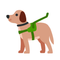 IndieWeb Avatar for perrodinero.blog