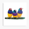 IndieWeb Avatar for https://www.viewsonic.com/